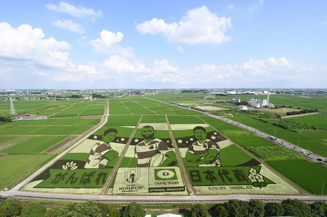 都心から1時間 歴史と自然を感じるまち 埼玉県行田市 やまとごころキャリア スタッフブログ